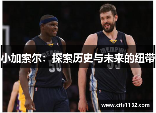小加索尔：探索历史与未来的纽带